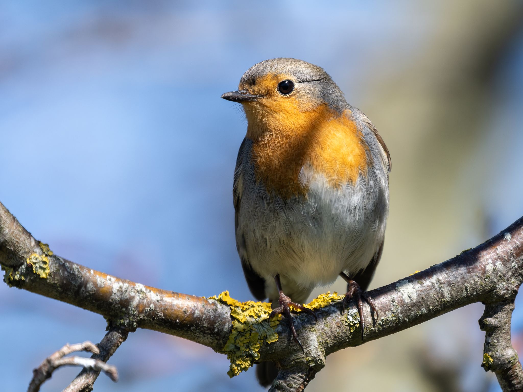 320 260424 1413 H  1HR1880 DxO DeepPRIME 3